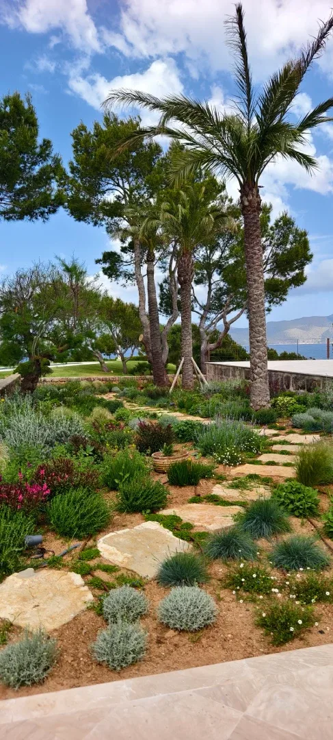 Sistema de riego instalado en jardín mediterráneo